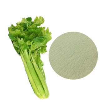 Best celery juice powder