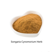 Buy online ingredients Songaria Cynomorium Herb Extract