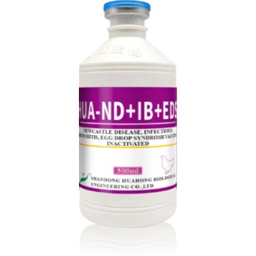Vaccin inactivé ND + IB + EDS