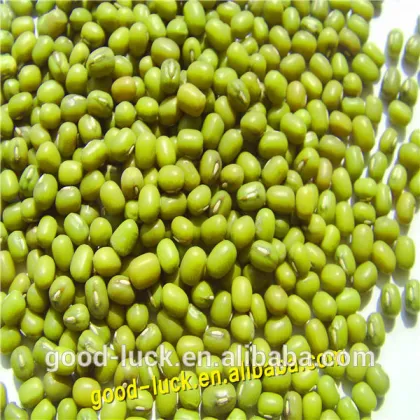 green mung beans for food grade