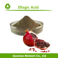 Skincare Pomegranate Peel Extracto ácido ellandés 98% Powder