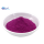 Dragon Pitaya Fruit Powder for Bulk