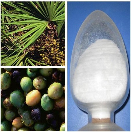 Saw palmetto Extract