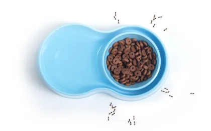 Anti-Ant Plastic Pet Bowl - Blue