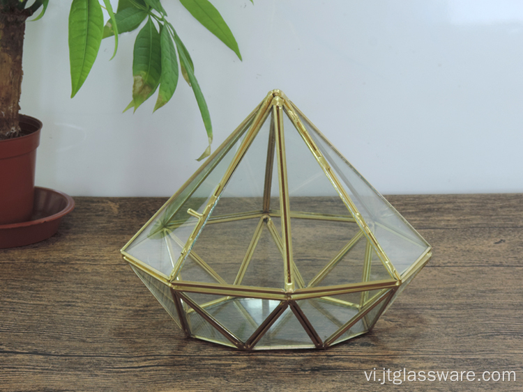 Trang trí vườn nhà đặc biệt Kính Terrarium hình học