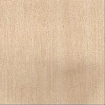 Furniture grade natural birch white maple veneered plywood