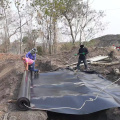 HDPE 0,75 mm Geomembrane Pish Pool Pond Douleur