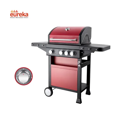 Outdoor Gas BBQ Grill Stainless Steel Burner 3+1 Movable BBQ Grill