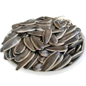 Raw sunflower seeds 361/363