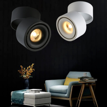 High Quality Hotel LED Spotlights - Rotatable COB Downlights for Indoor Ceiling Lighting (10W-30W)