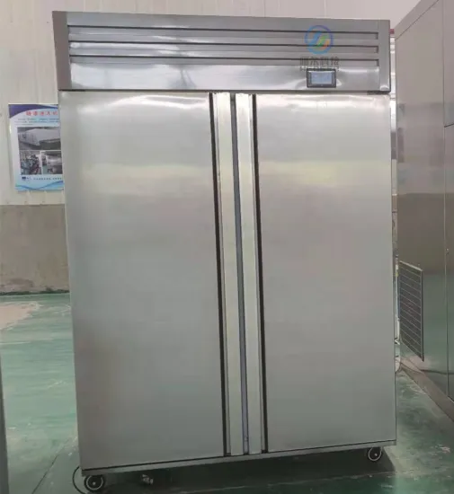 Industrial Fish Defrost Machines - Efficient Thawing Solutions