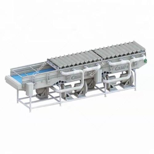 Single Layer Mesh Belt Air Dryer for vegetable