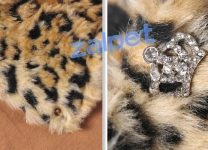 fashion brand pet clothes dog apparel