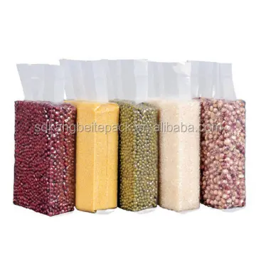 Beans Rice Brick Type Vacuum Packing Machine - Chamber Vacuum Sealer