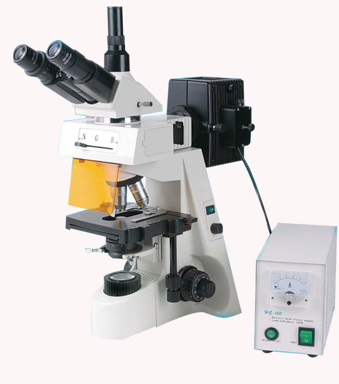 Microscope