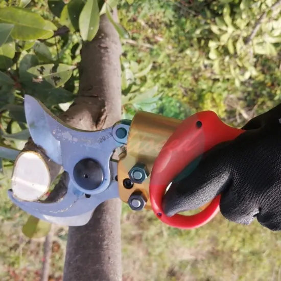 Battery Operated Adjustable Size Electric Pruning Shears for Garden and Orchard Cutting Tools