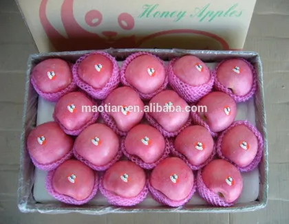 Best Price Fresh Fuji Apple