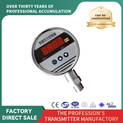 Smart Digital Pressure Controller Switch