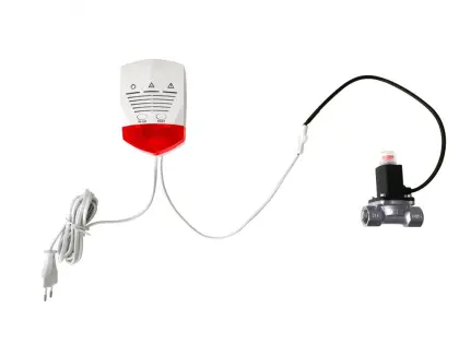 Gas Detector For House