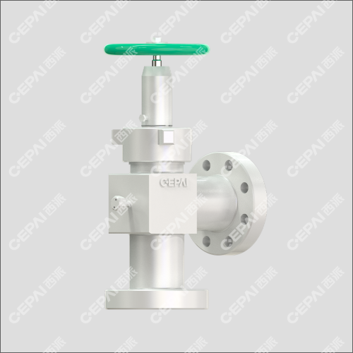 Needle Shaped Choke Valve