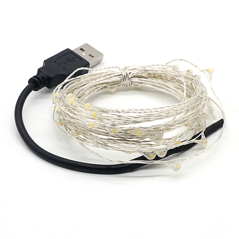 Silver Wie Led String