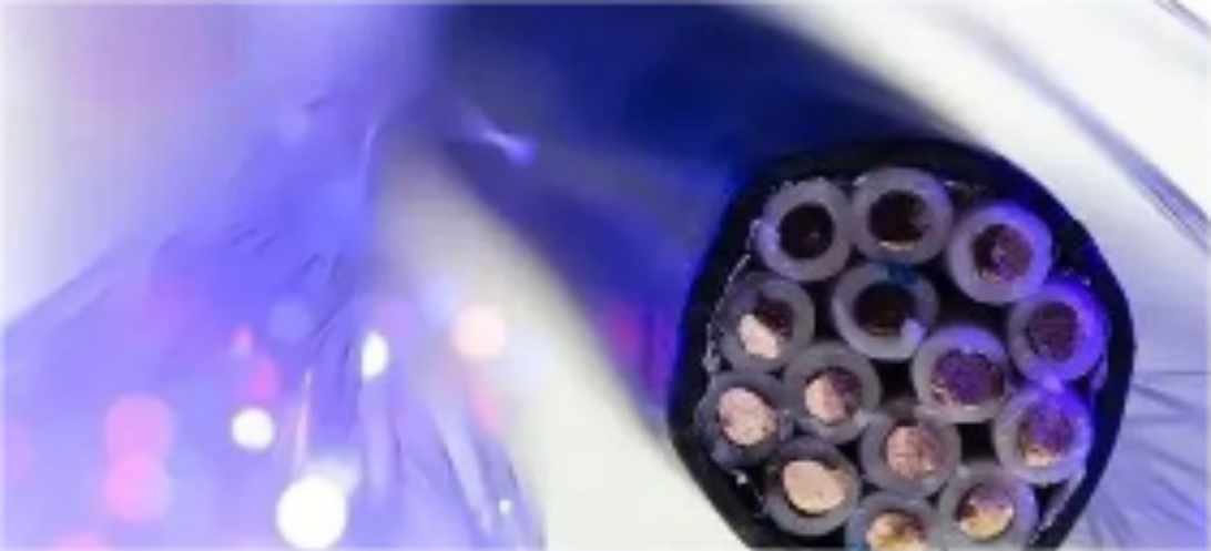 8fcdd0c7-b4e9-4956-8508-0e19ba8f09d9