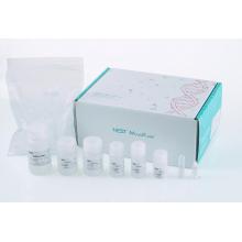 Kit de extração de miniprep de DNA plasmídeo