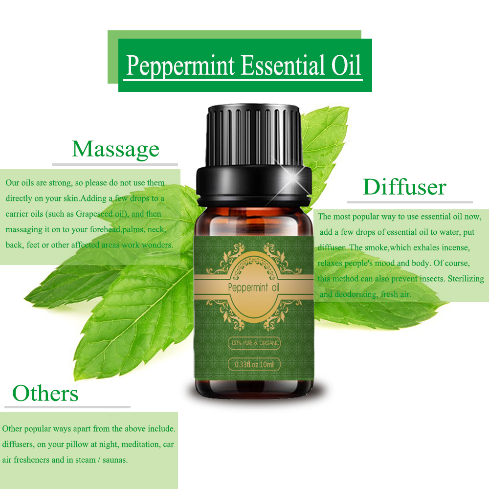 Alta qualidade Peppermint Essential Oil por atacado Preço em massa