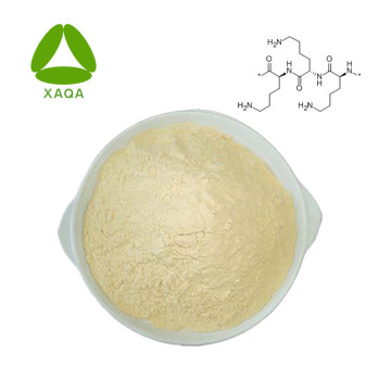 Preserative Polylysine CAS No 25104-18-1 Powder