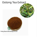 Premium Oolong Tea Extract for Enhanced Wellness and Vitality