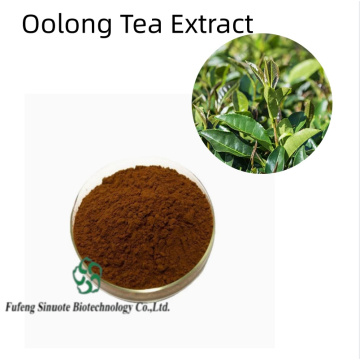 Premium Oolong Tea Extract for Enhanced Wellness and Vitality