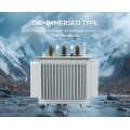 10kV 1000kva Oil immersed type Power Transformer