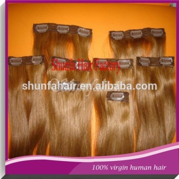 cheap 100% human hair clip in hair extension