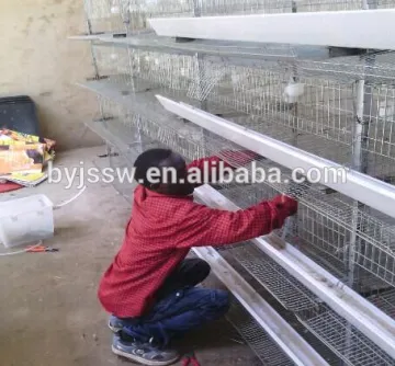 H Type Battery Layer Chicken Cage