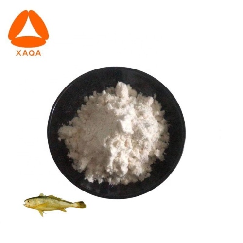 Nutritional Supplements Pure Fish collagen /marine fish collagen powder Supplier