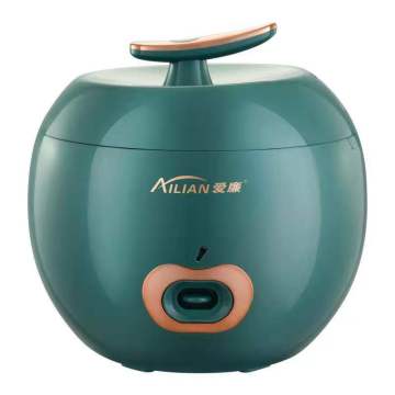 2.0L Multi Cooker Rice cooker - 110v/220v Electric Mini Noodle Rice Cooker 2021 New Model