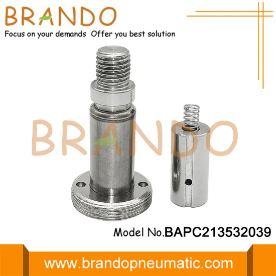 Water Solenoid Valve Armature For 2W025-08 2W025-06