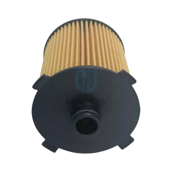 Wholesale Car Accessories: Engine Oil Filters & OEM Auto Spare Parts Manufacturer