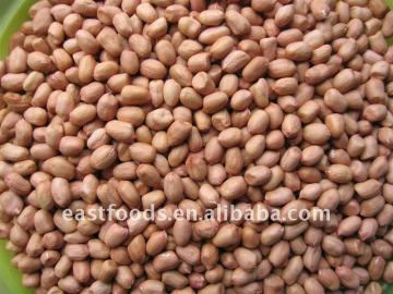 Round type peanut kernel 50/60