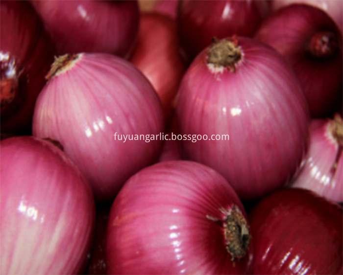 red onion