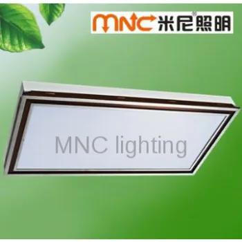 aluminum ceiling mount lights 2*55W, square with brown edge decoretiv