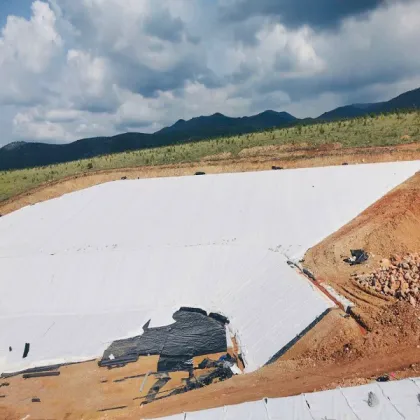 100% Polyester Material Non-woven Terram Geotextile Membra