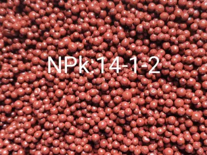 Npk organic fertilizer granular In Agriculture