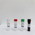 Multiplex-Echtzeit-PCR-Kit für SARS-CoV-2/Influenza A/Influenza B/RSV