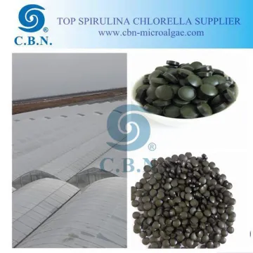 Food grade organic Spirulina 500mg tablet with round and special shapes