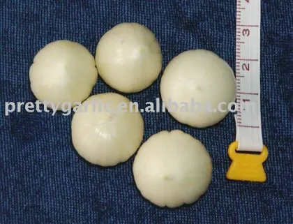Pearl Garlic/Single Clove Garlic