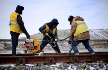 Flexible Shaft Tamping Machine