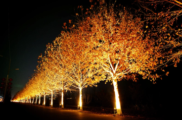 Lawn Lights For Easy Transport