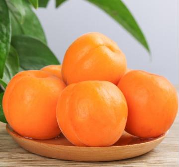 Fresh apricot Organic Fresh apricot