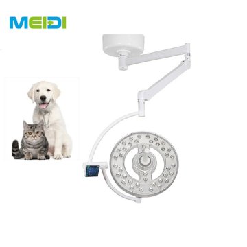 Single and Double Head LED Operation Lamp for Animal Medical Use